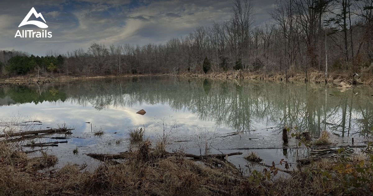 Best Hikes and Trails in Sally's Y Preserve AllTrails