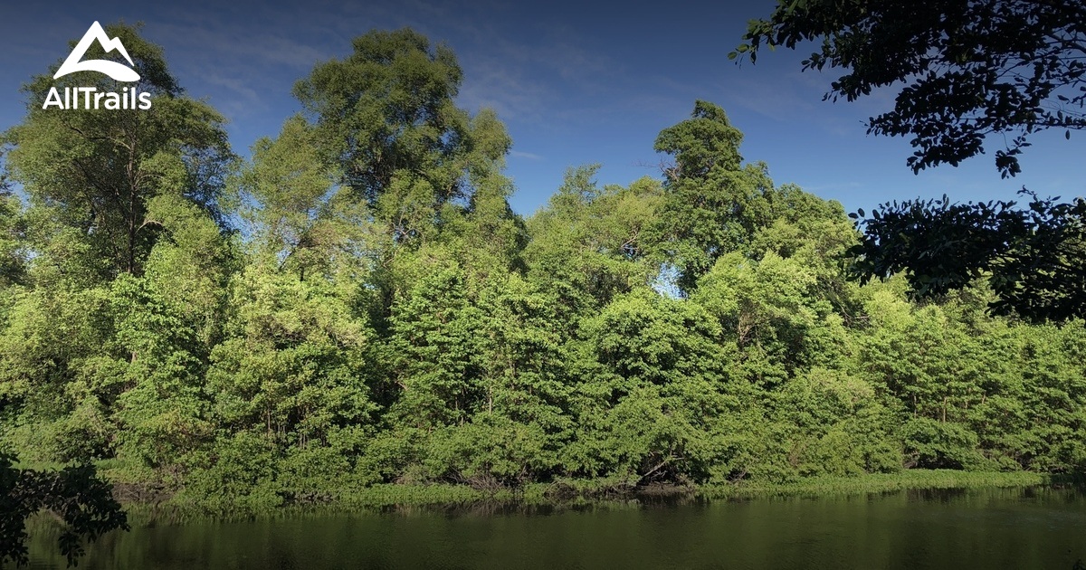 Parque Estadual Do Coc As Melhores Caminhadas E Trilhas Alltrails