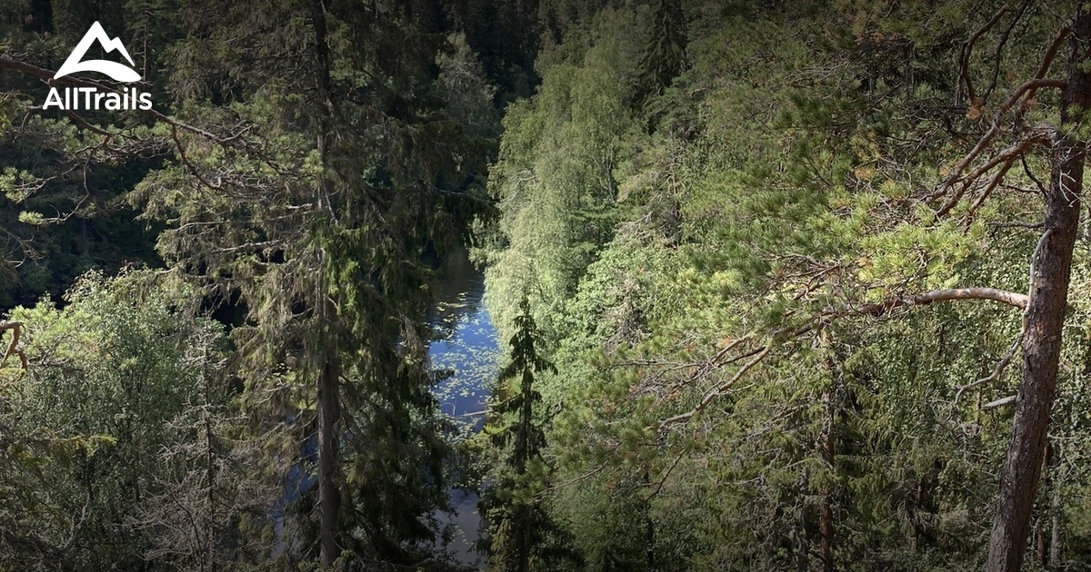 parc-national-helvetinj-rvi-les-meilleures-randonn-es-en-for-t