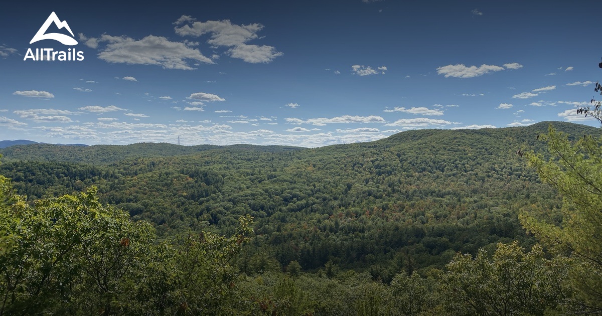 Best Hikes and Trails in Mount Cutler Park and Conservation Area