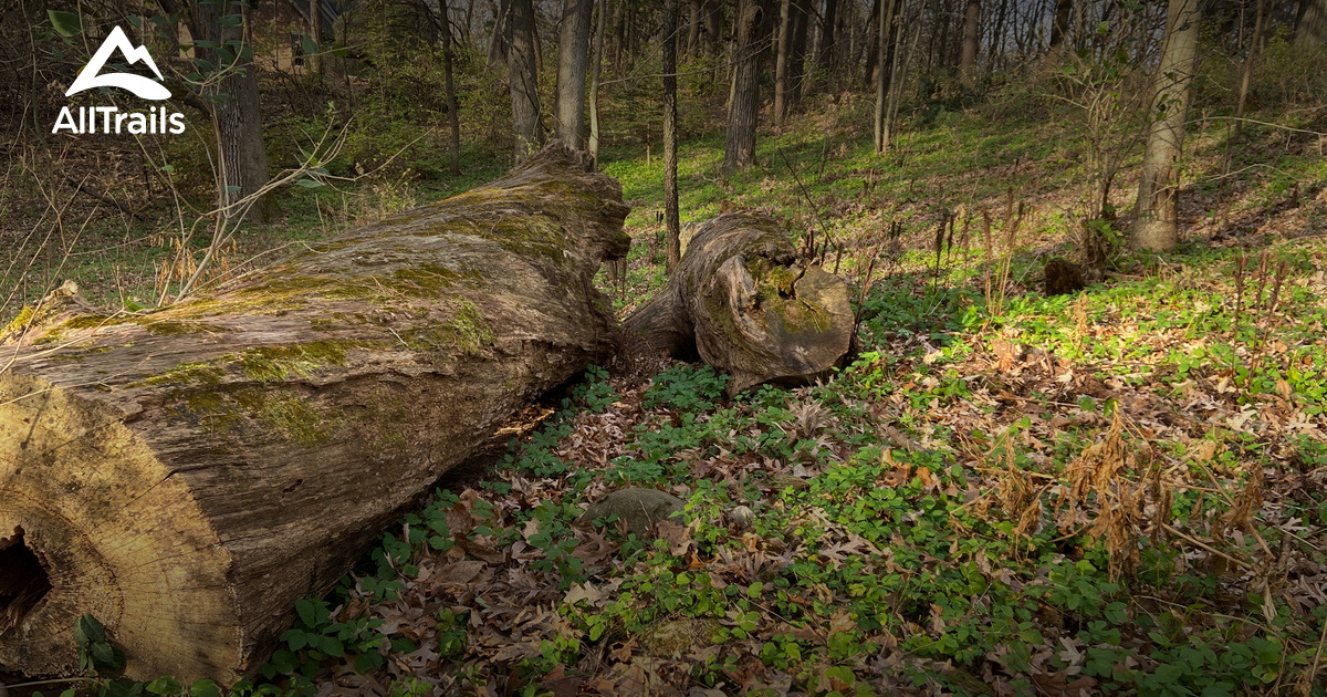 Best Hikes and Trails in Boger Bog Conservation Area AllTrails