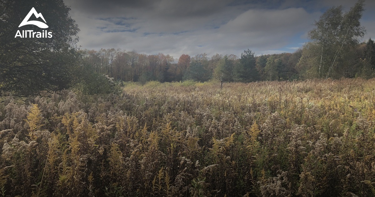 Best Hikes and Trails in French Creek Preserve AllTrails