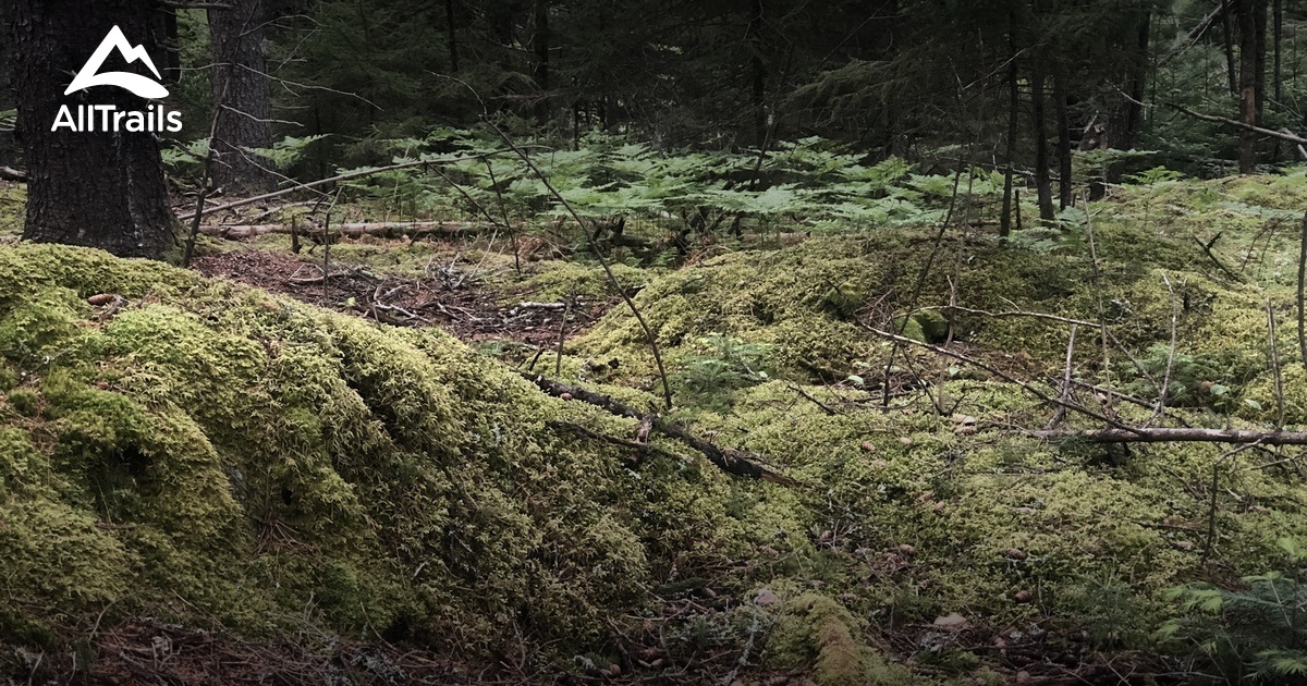 Best Hikes and Trails in Cross Cushing Nature Preserve AllTrails