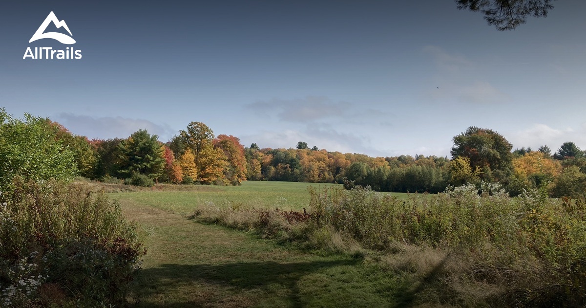 Best hikes and trails in Chandler Brook Preserve AllTrails