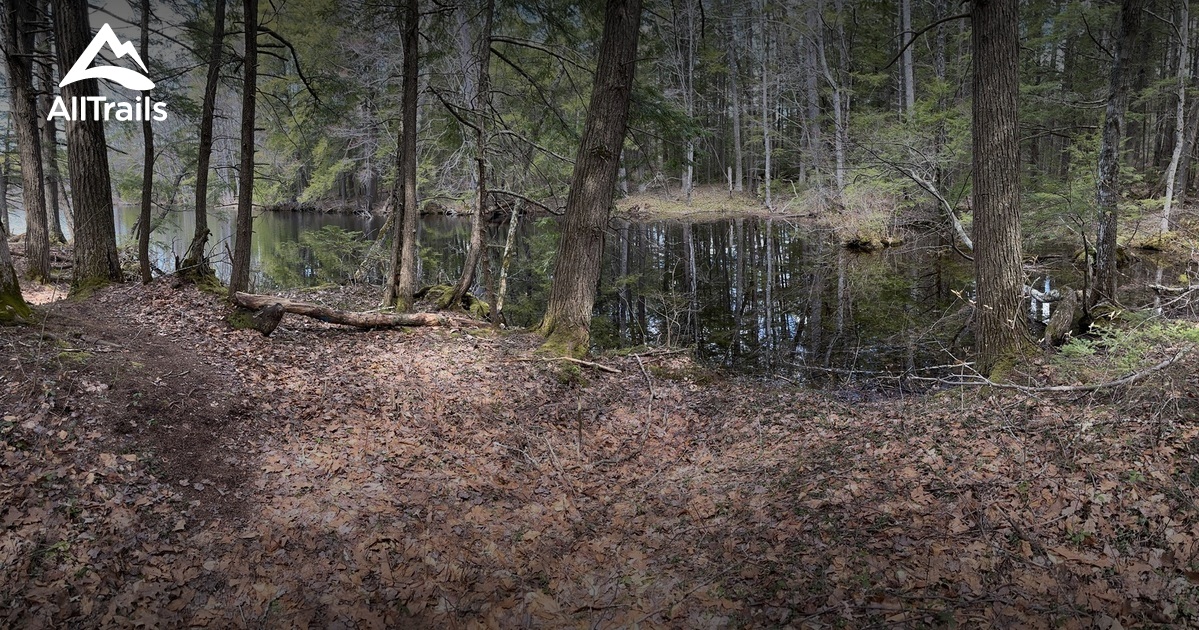 Best Hikes and Trails in Shaker Woods Reserve AllTrails