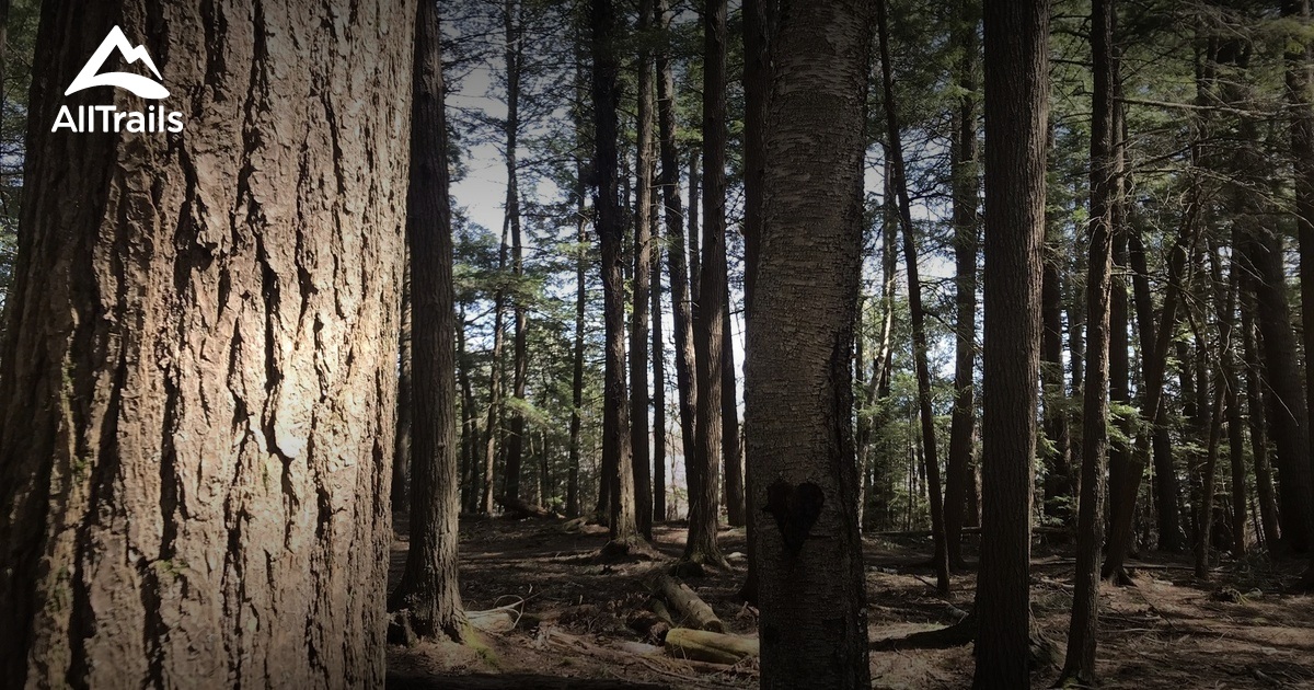 Best Hikes and Trails in Prentiss Woods AllTrails