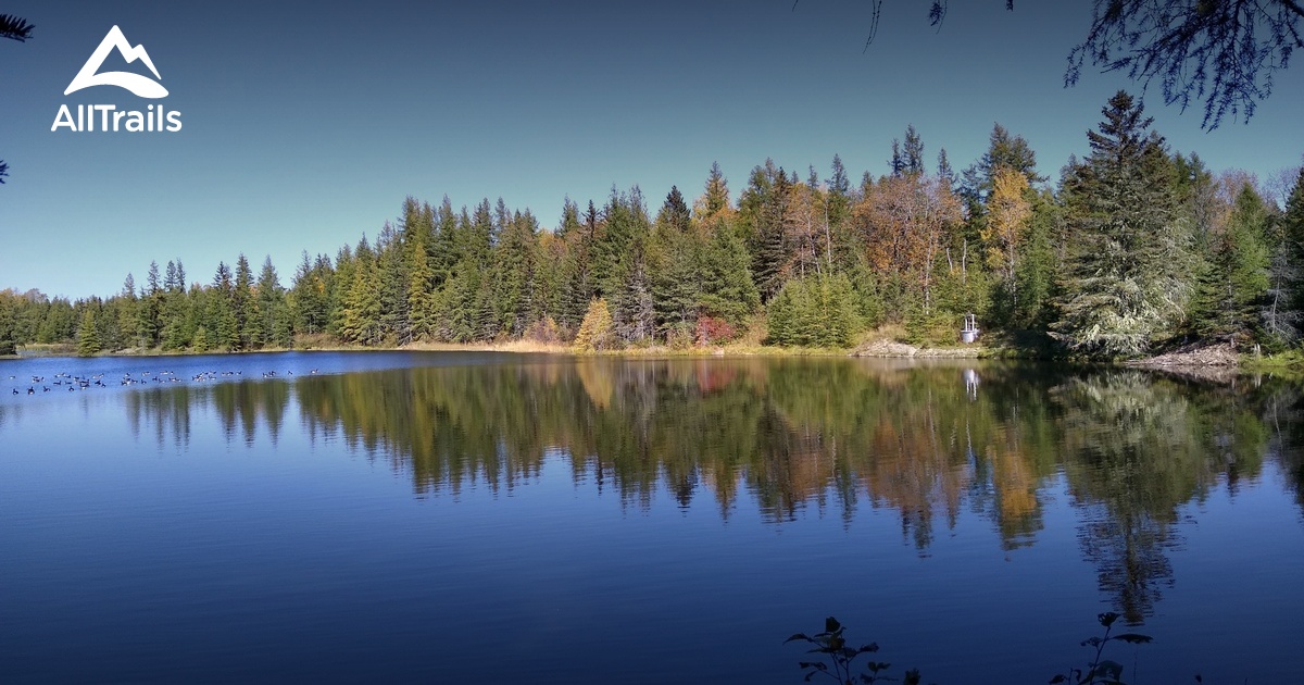 Best Hikes and Trails in Aroostook National Wildlife Refuge AllTrails