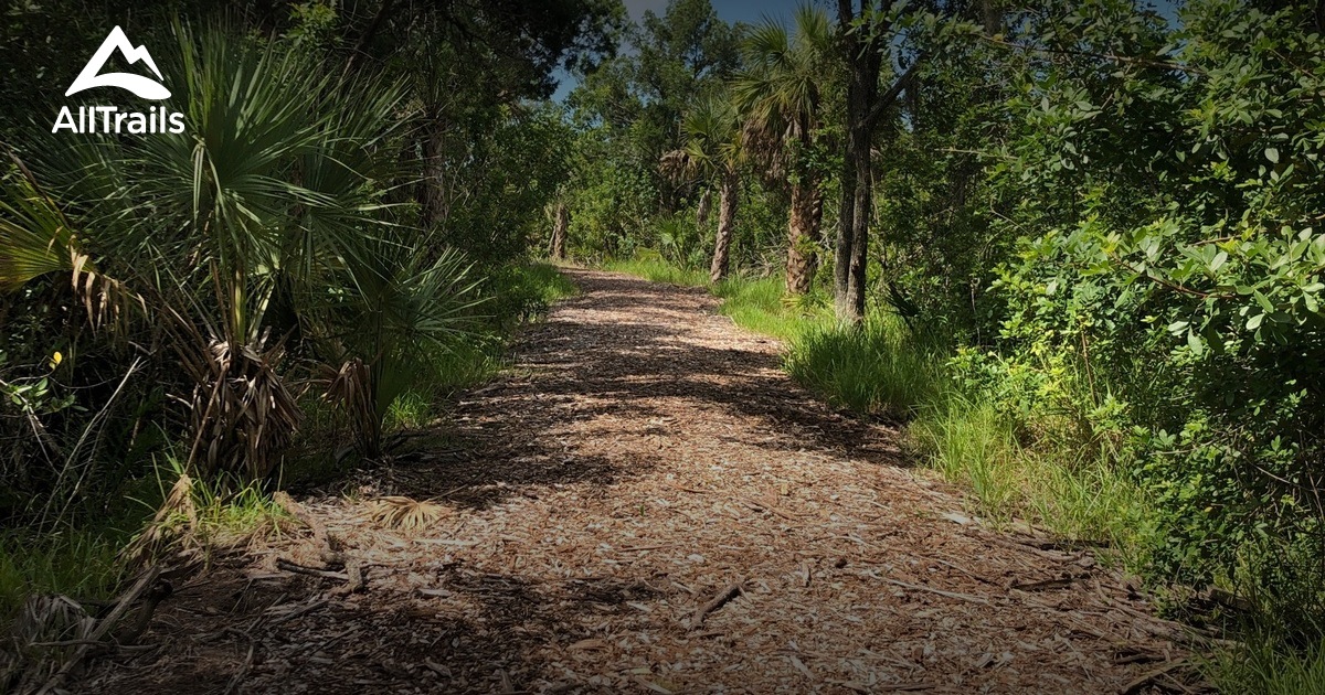 Best Hikes and Trails in Pasco Palms Preserve AllTrails
