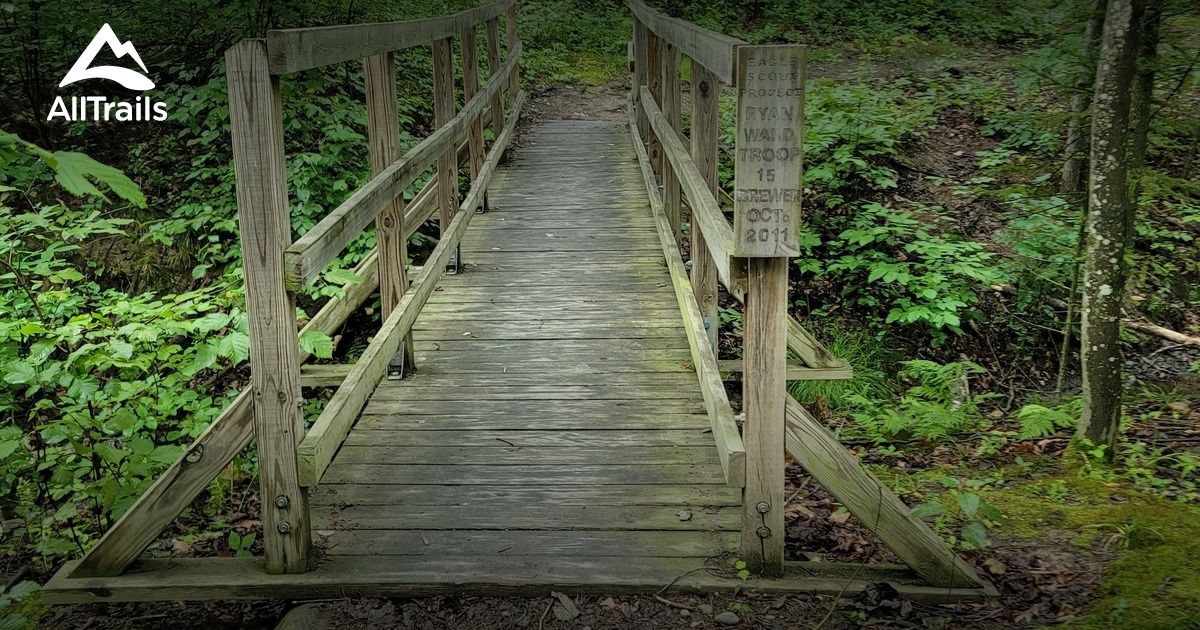 sherwood forest mtb trails