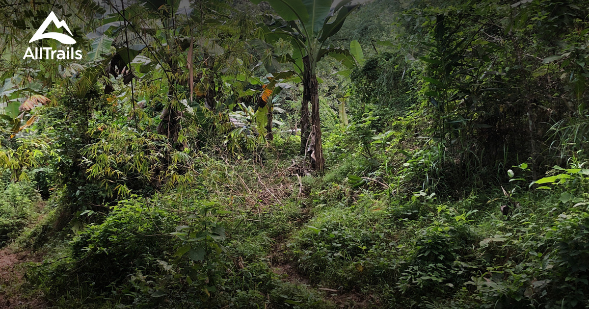 Best hikes and trails in Bulabog Putian National Park AllTrails