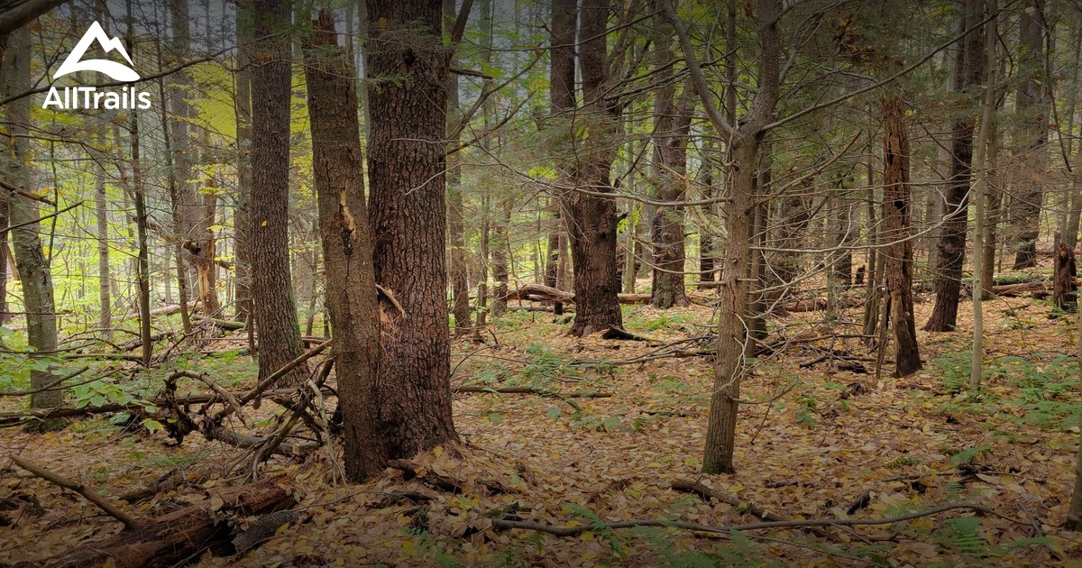 Best Hikes and Trails in Goodwin Forest AllTrails