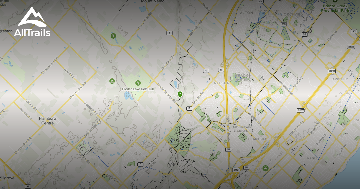 Best hikes and trails in Fisher's Pond Nature Reserve | AllTrails