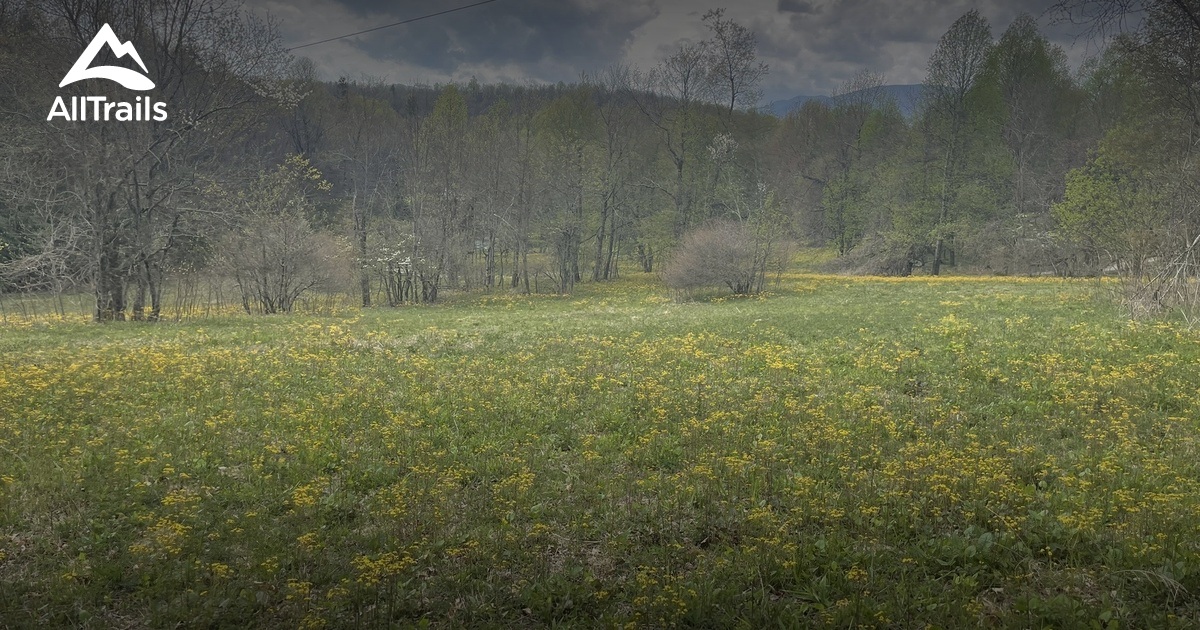 10 Best Hikes And Trails In Blue Ridge Parkway | AllTrails