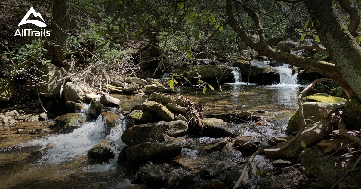 Best Hikes and Trails in Montreat Conference Center AllTrails
