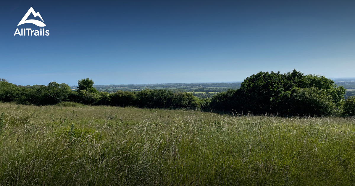 Best Hikes and Trails in Wye National Nature Reserve AllTrails