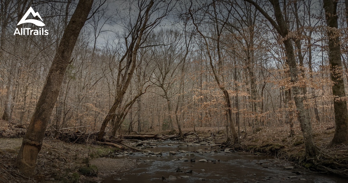 Best Hikes and Trails in Sevenmile Creek Natural Area AllTrails