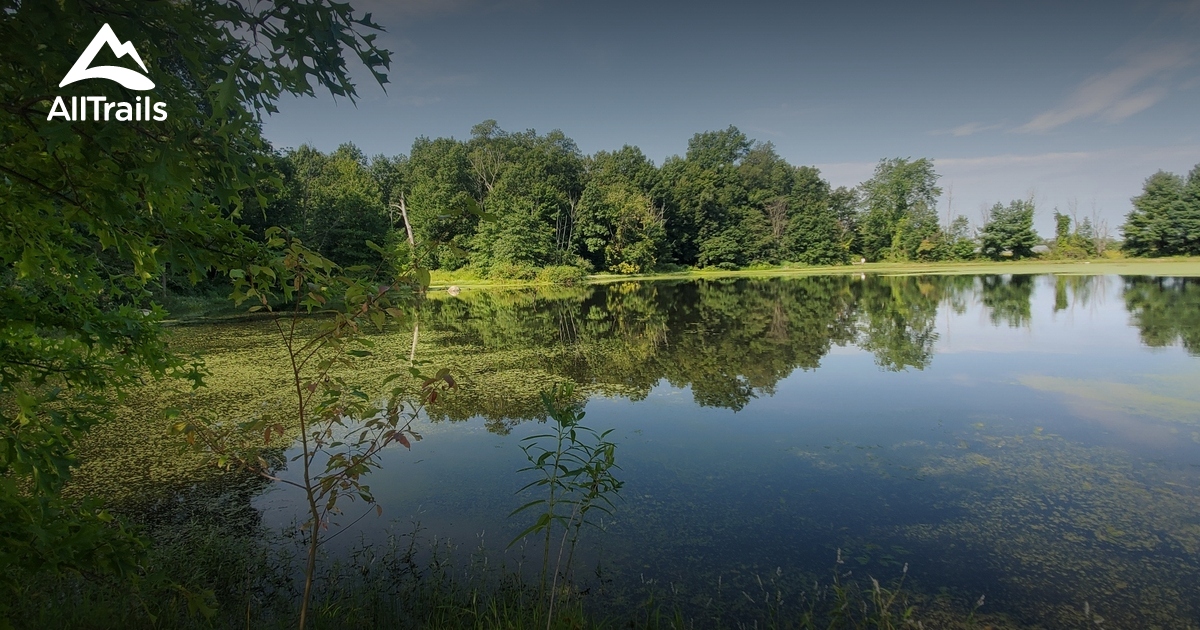 Best Hikes and Trails in Hurdle Waterfowl Park AllTrails