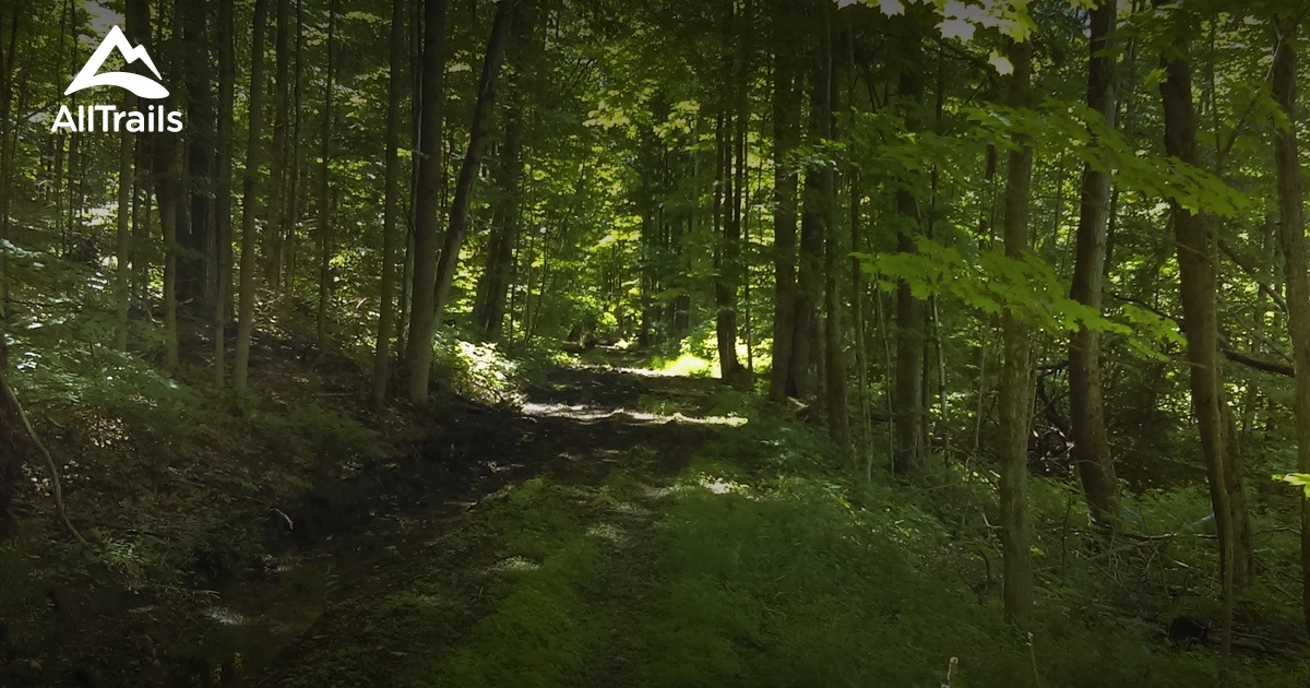 Best Hikes and Trails in Swift Hill State Forest AllTrails