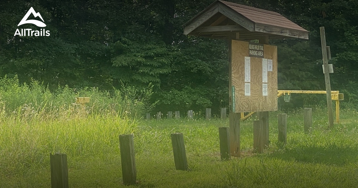 Best hikes and trails in Amelia Wildlife Management Area | AllTrails