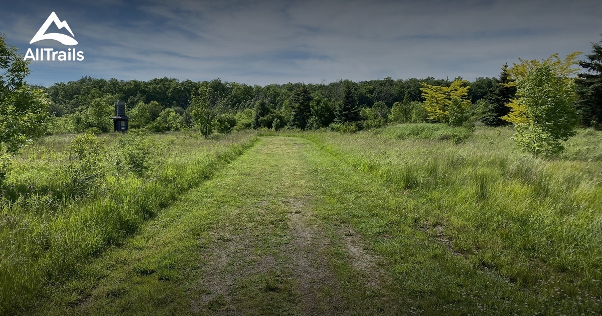 Best Hikes and Trails in Shagbark Conservation Area AllTrails