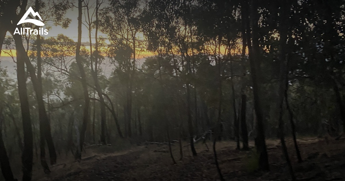 Best Hikes and Trails in Baranduda Regional Park AllTrails