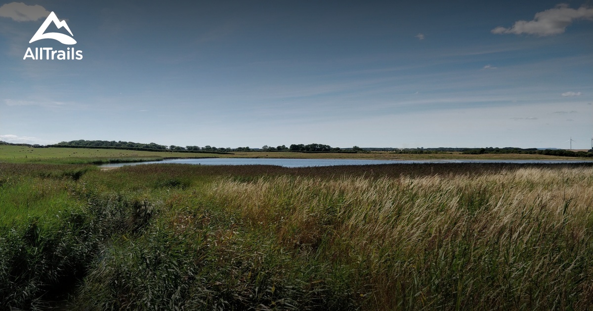 Best Hikes and Trails in Creswell Pond Nature Reserve AllTrails