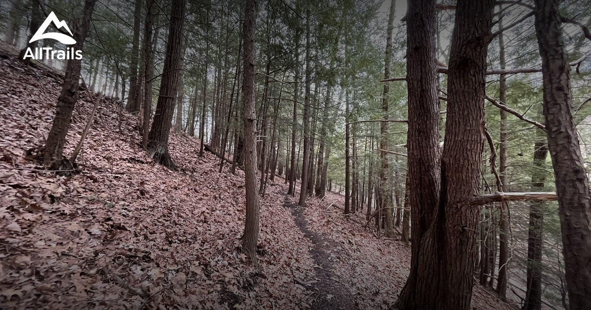 Best hikes and trails in Trout Run Conservation Area AllTrails