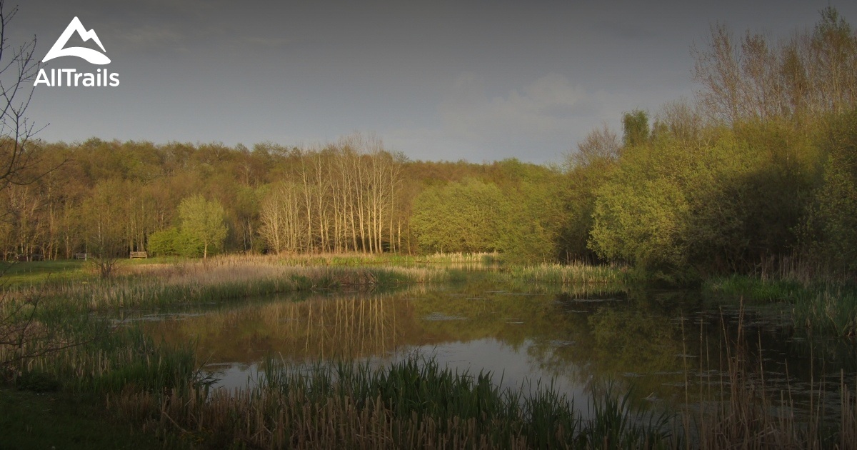 Best hikes and trails in Blythe Valley Park | AllTrails