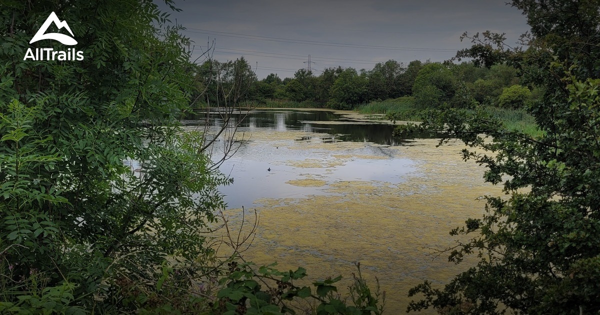 Best Hikes And Trails In Cowpen Bewley Woodland Country Park AllTrails