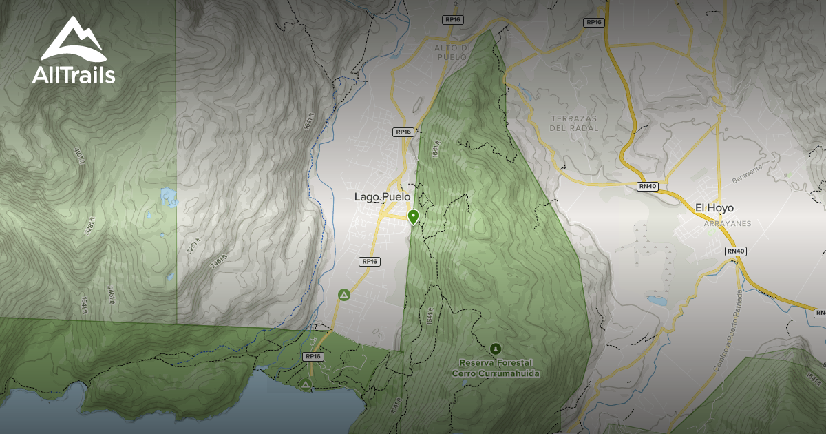 Los Mejores Senderos Y Rutas En Reserva Forestal Cerro Currumahuida