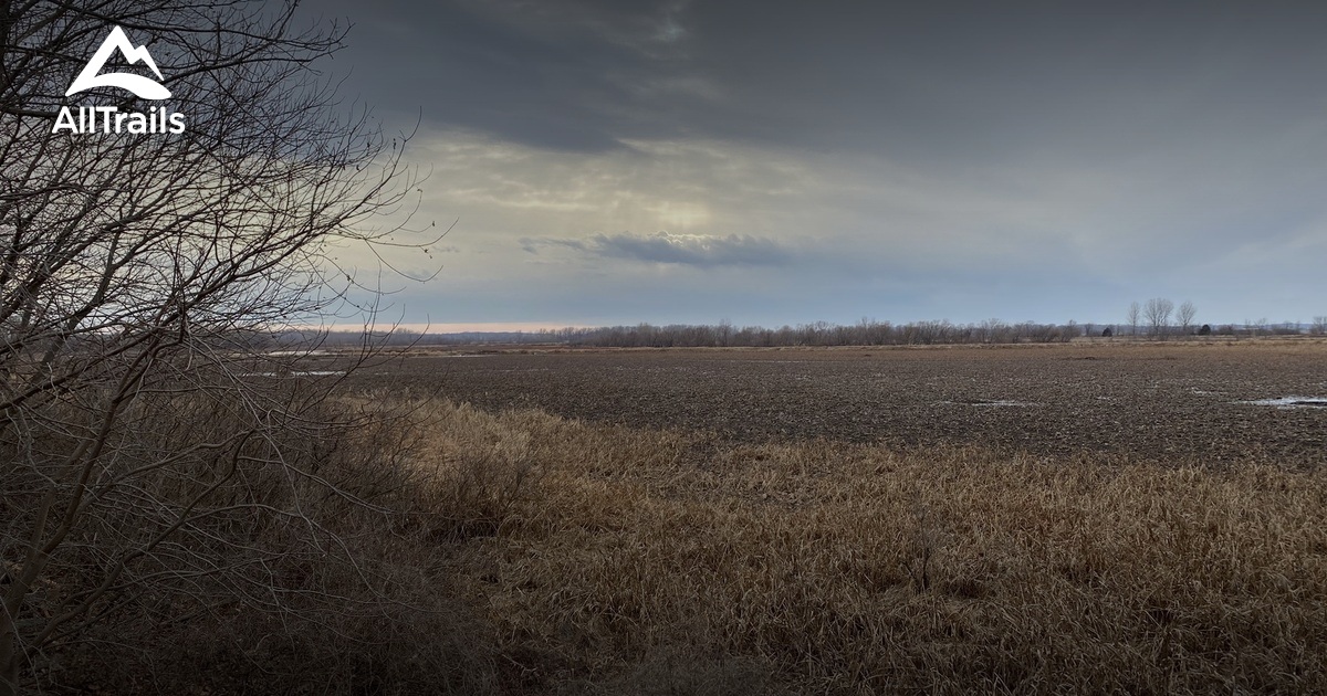 Best Hikes and Trails in Cooley Lake Conservation Area AllTrails