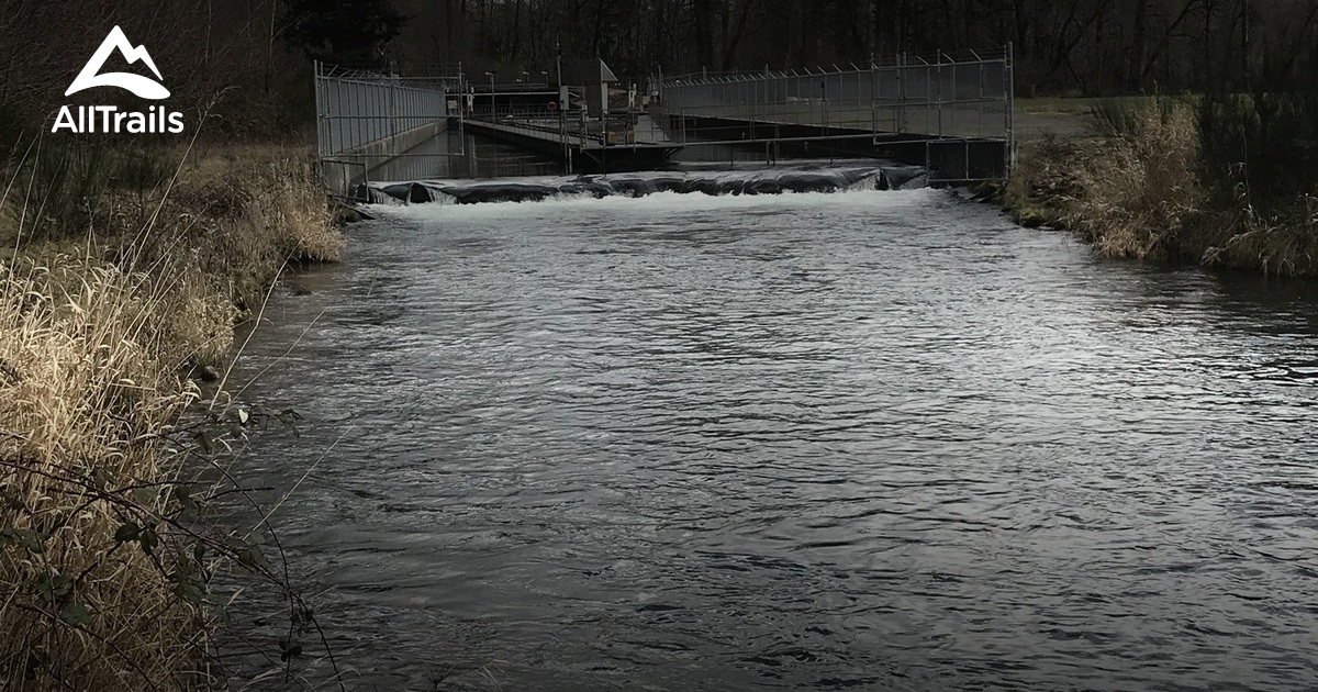 Best Hikes and Trails in Riverfront Park AllTrails