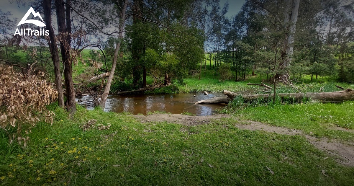 Best Hikes and Trails in Rokeby Flora Reserve AllTrails