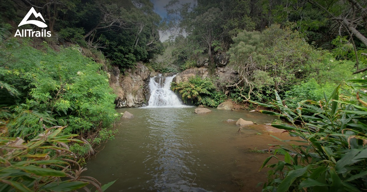 10 Best hikes and trails in Koke'e State Park AllTrails