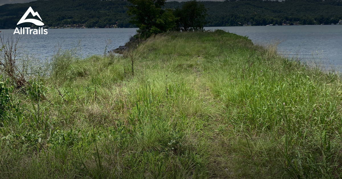 Best Hikes and Trails in Murphy Hill Wildlife Management Area AllTrails