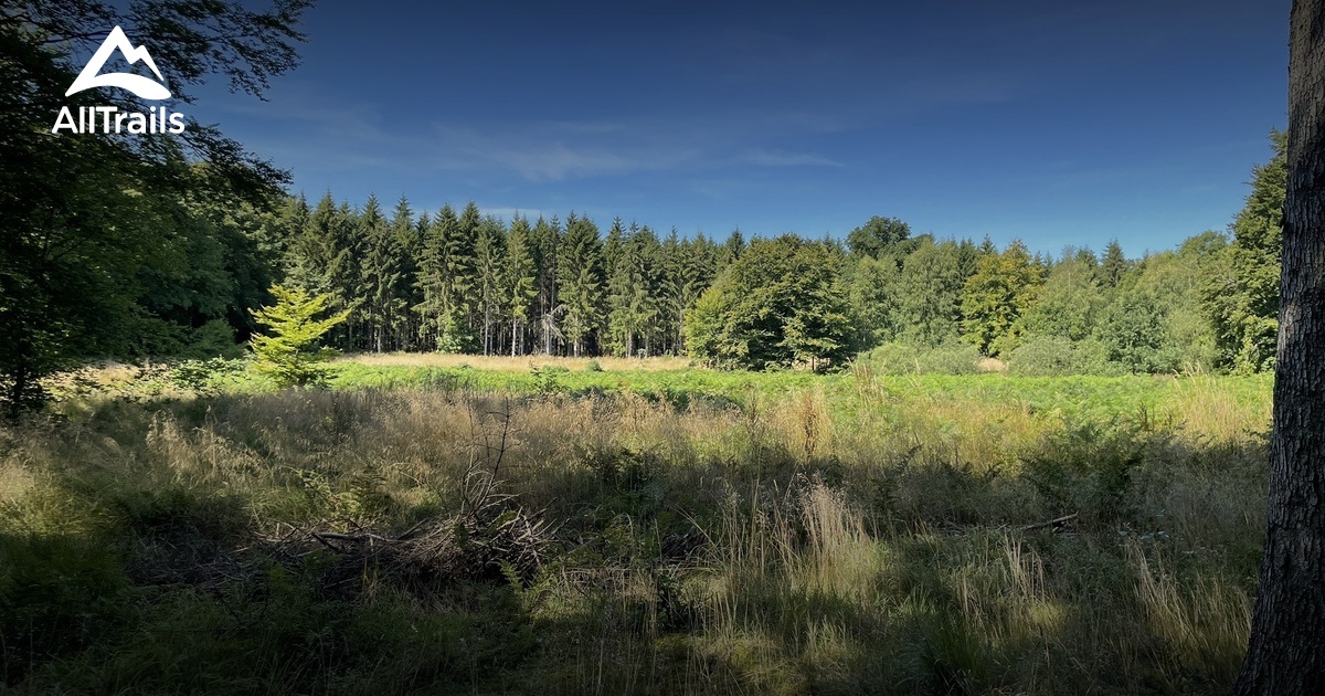 Best Wild Flowers Trails in Hesselbjerg Skov AllTrails