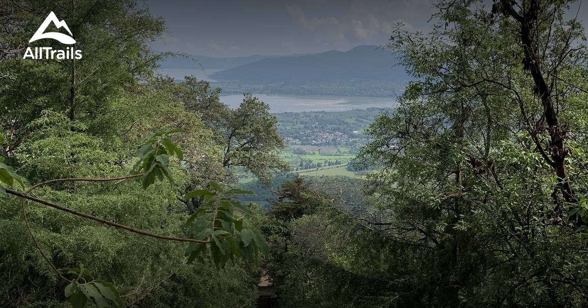 Best hikes and trails in Área Natural Protegida Cerro del Estribo