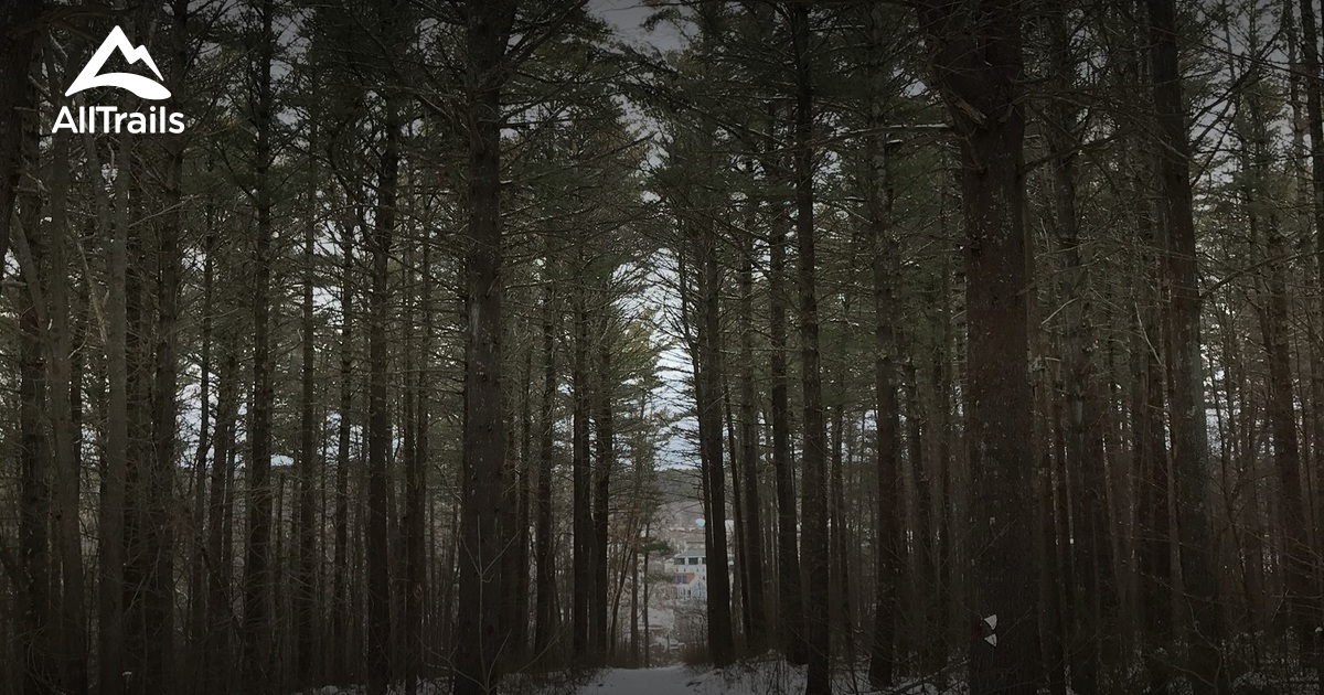 Best Hikes and Trails in Pudding Hill Reservation AllTrails