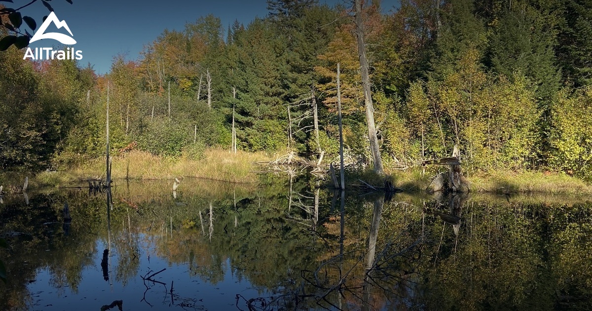 Best River Trails in Shediac Outdoors Association AllTrails