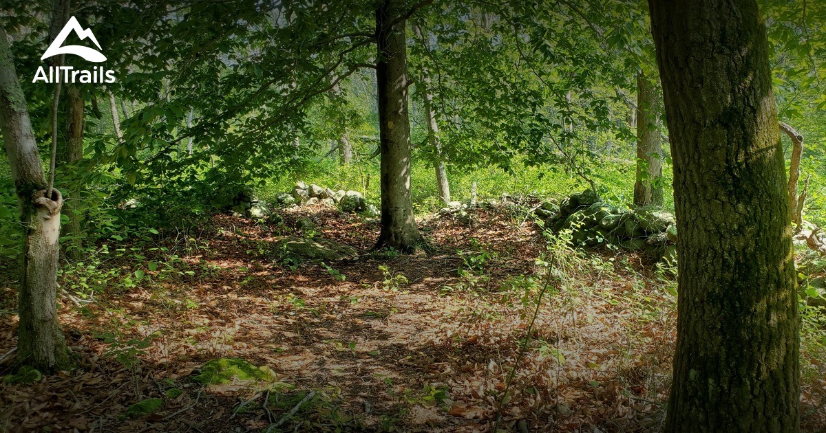 Best Hikes and Trails in Basket Swamp Preserve AllTrails