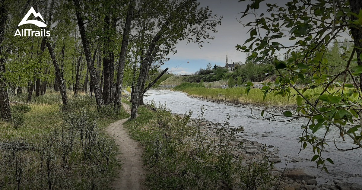 Best Hikes and Trails in Riverside Community Park AllTrails