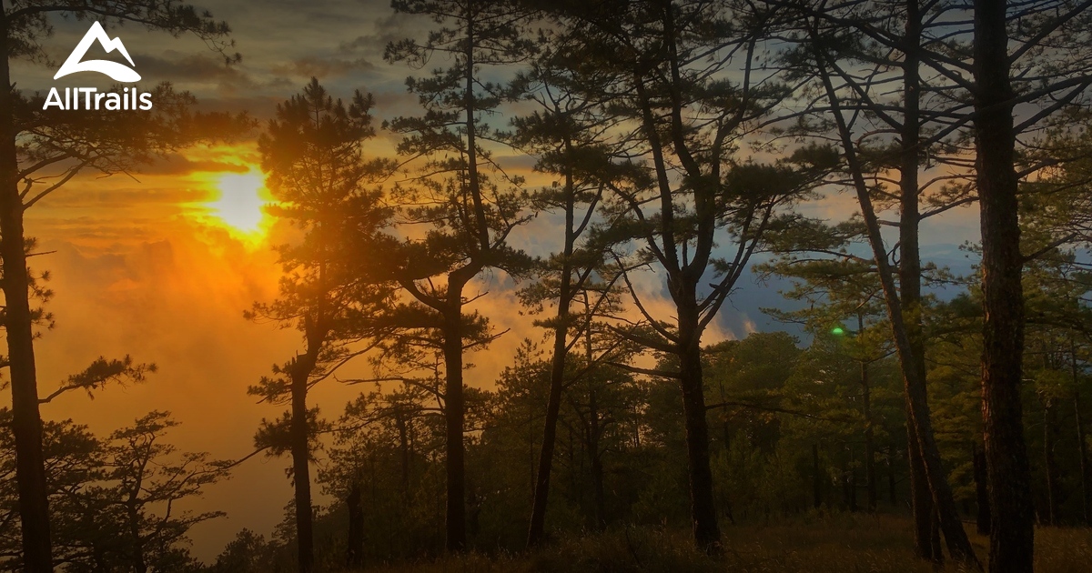 Mt Pulag Captions For Instagram In English