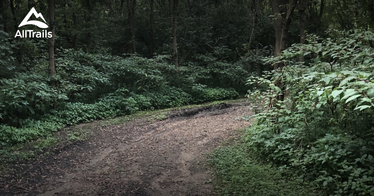 Best Hikes and Trails in Braehead Nature Preserve AllTrails