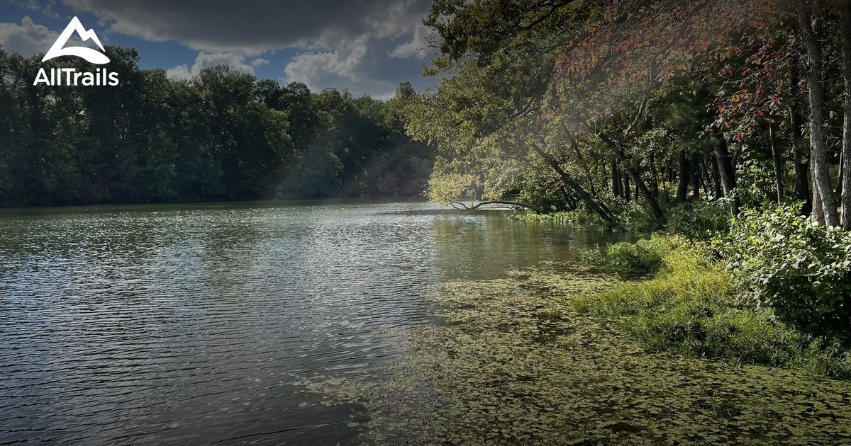 Best Hikes and Trails in Lake Wedington Recreation Area AllTrails