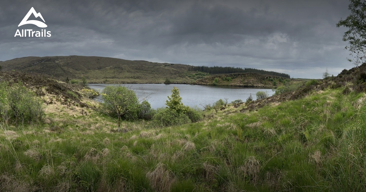 Best Hikes and Trails in Big Dog Forest AllTrails