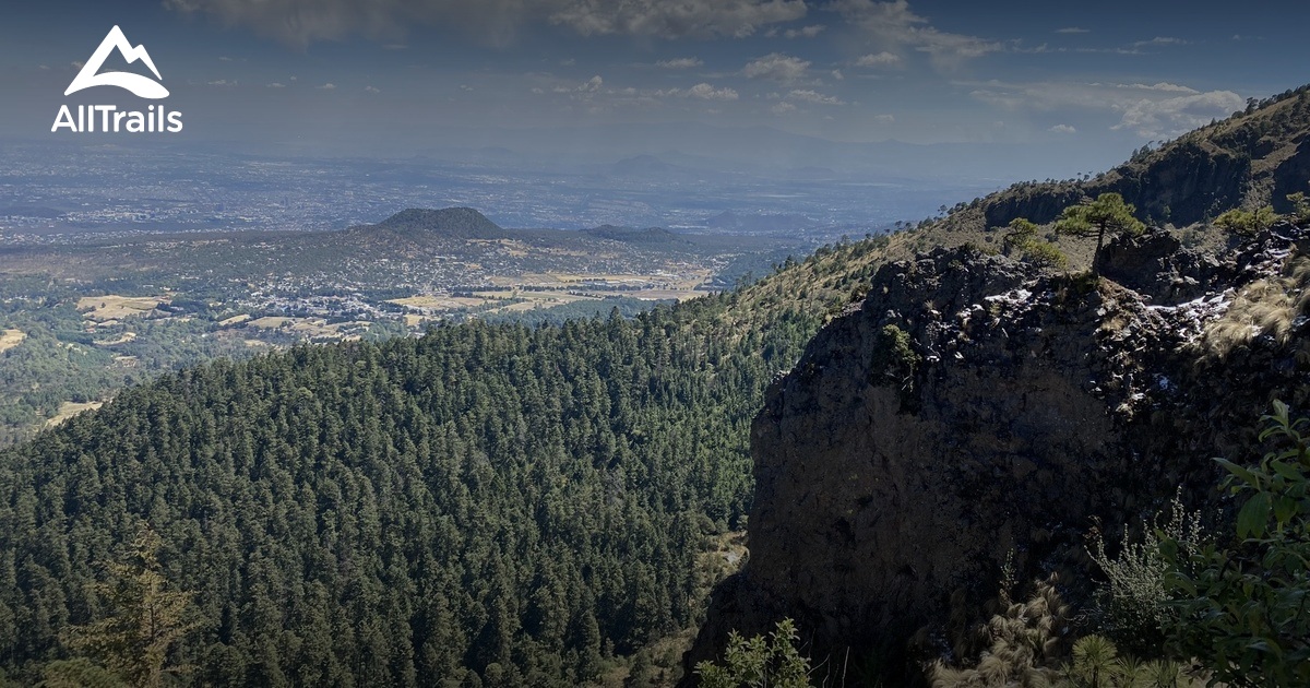 10 Best dogfriendly trails in Cumbres del Ajusco National Park AllTrails