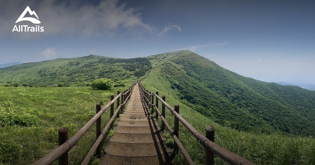 The Pristine Forests of Korea's Sobaeksan National Park - Flora and Fauna in Sobaeksan National Park