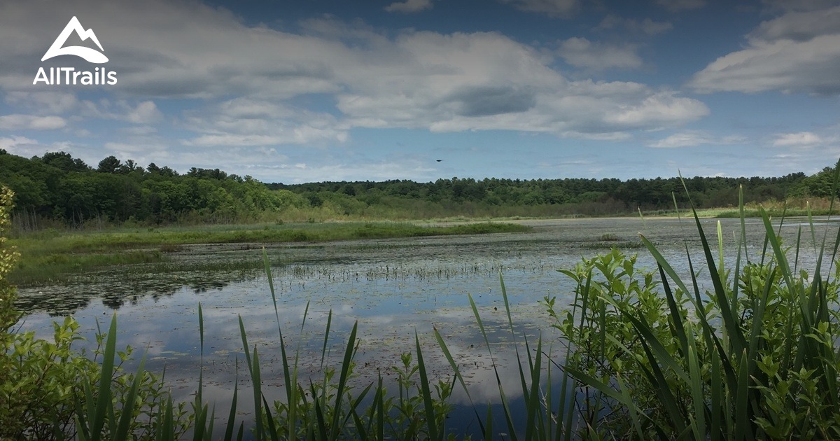 Escape to Nature's Playground: Your Guide to Ross Marsh Wildlife Area