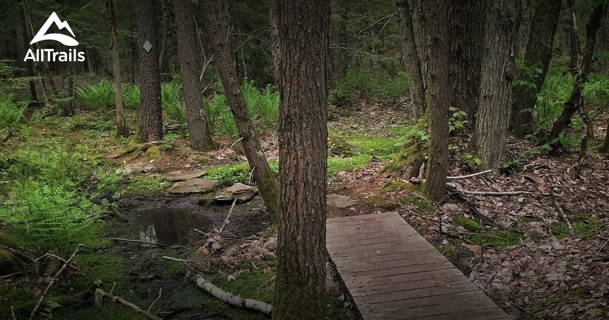 Best Hikes and Trails in Ridgewood Preserve AllTrails