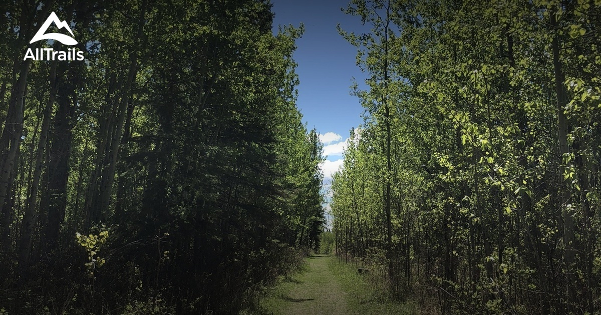 Best Hikes And Trails In Pembina River Provincial Park 